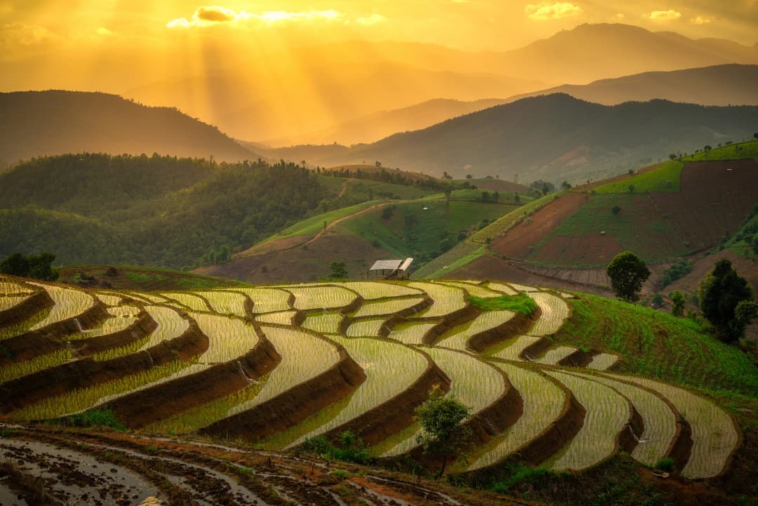 Hep A & Hep B Vaccine image